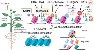 An Epigenetic Alphabet of Crop Adaptation to Climate Change